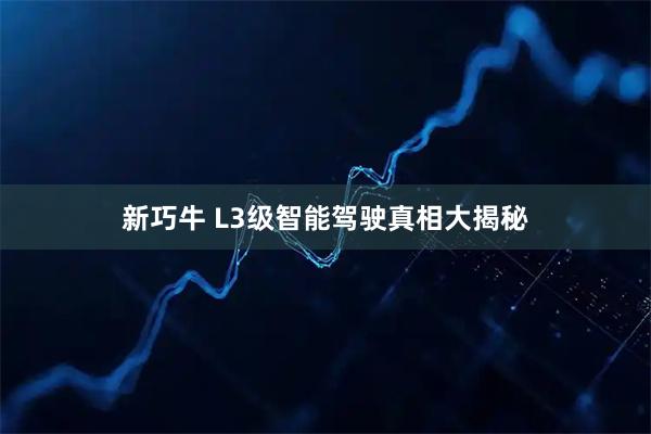 新巧牛 L3级智能驾驶真相大揭秘